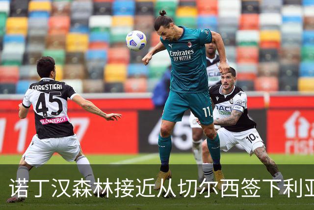 诺丁汉森林接近从切尔西签下利亚姆·德拉普，格拉斯纳还想再买两人